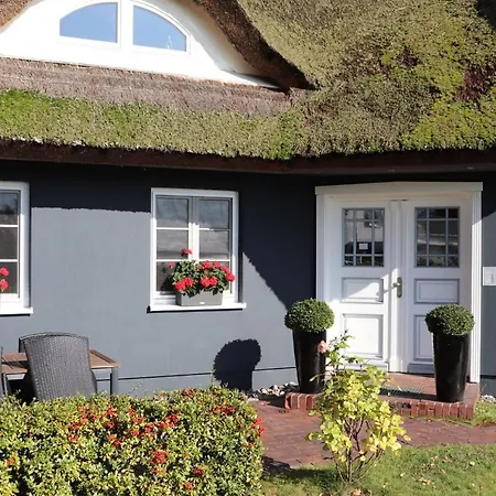 아파트 Rudi 비에크